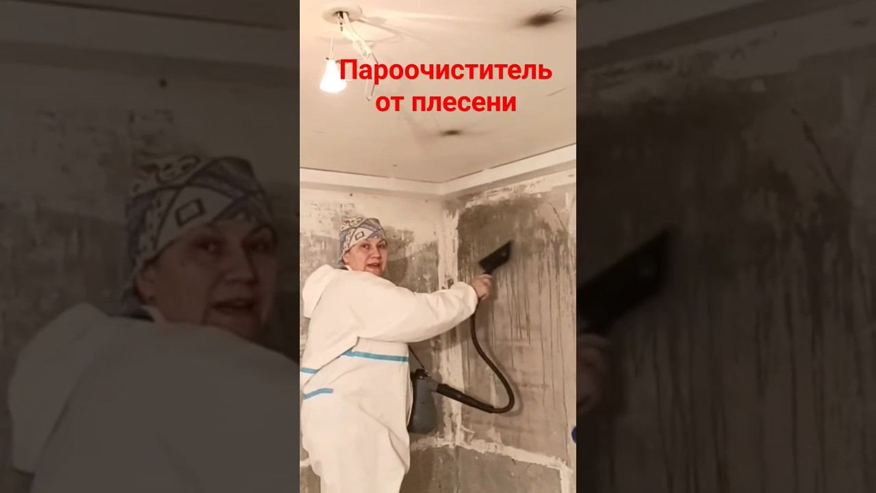Уничтожение плесени паром #протечки #плесень #пароочиститель