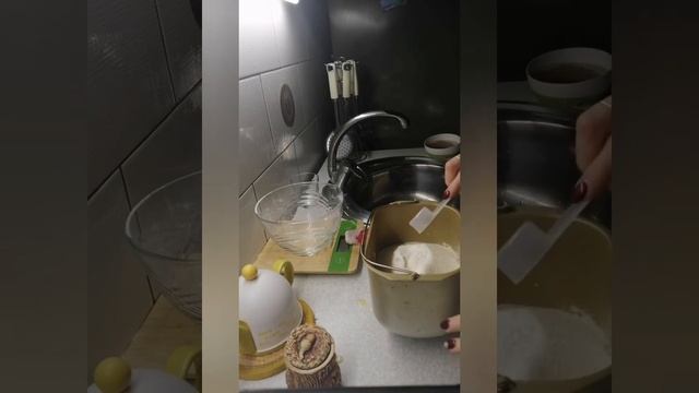 Сдобный белый хлеб с изюмом В хлебопечке Мистери 1208 смотреть онлайн