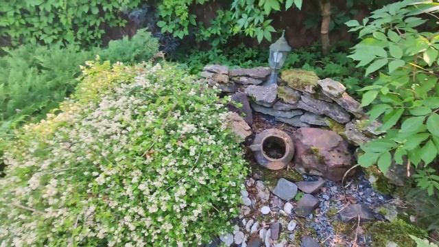 Альпийская горка 2-я серия, растения на горке, сухой ручей смотреть онлайн