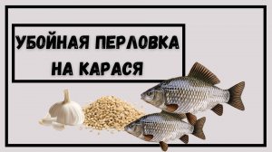 Убойная перловка на карася! Как приготовить перловку для рыбалки