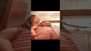 VID_20231210_154546.mp4