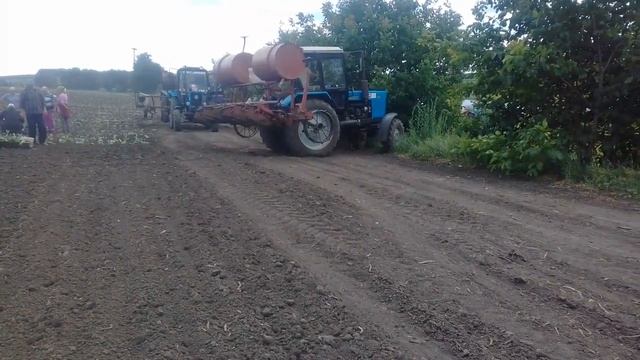 Посадка расада КАПУСТЫ с 2 МТЗ 82.1 с сажалкои /трактора 2 МТЗ-80 2 ЮМЗ-6 с бочками с водои и Т 25 смотреть онлайн