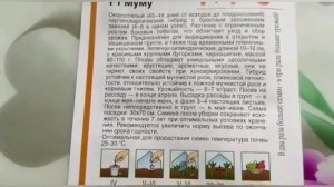 Один из лучших гибридов огурца с интересным названием - Муму