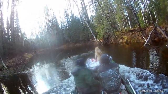 Болотоход 35 л.с.р. Тимшор 2019, Пермский край. от п.Чепец - до озера Кумикуш. смотреть онлайн