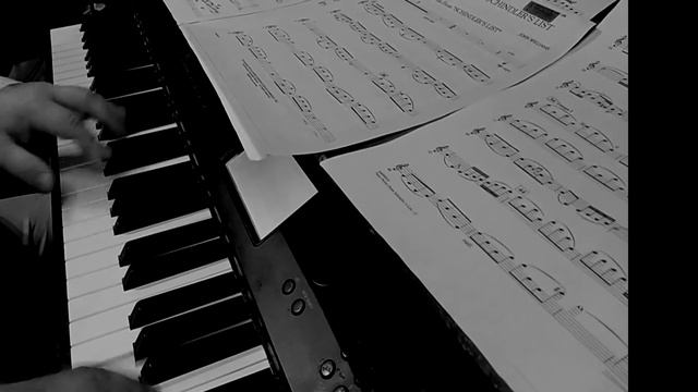 Schindler´s list (by John Williams) Version piano & violin смотреть онлайн