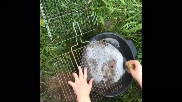 Моя любимая универсалка Farmasi смотреть онлайн