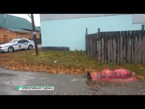 "В Бийске совершено жестокое убийство двух человек" (Будни, 23.10.18г., Бийское телевидение)