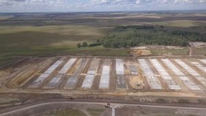 идеал, свинокомплекс.