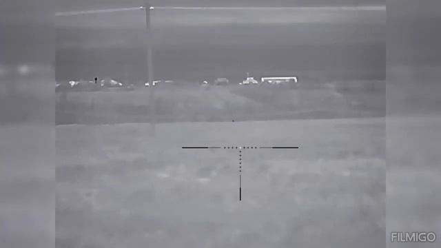 Охота на шакала ночью с манком 18.01.2024. тепловизор iray saim sct 35 v2 смотреть онлайн