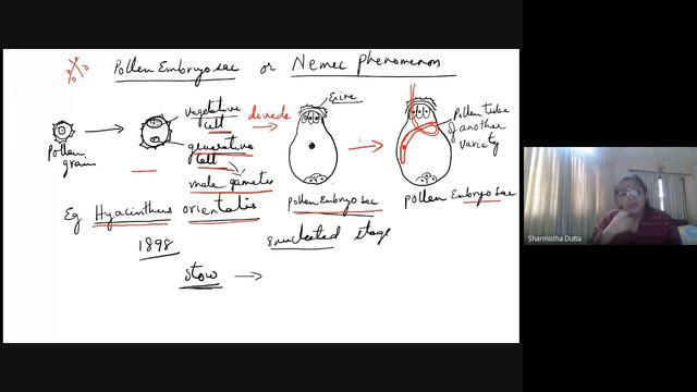 IVSem CBZ Pollen Embryo sac or Nemec Phenomenon 2021 05 17 at 21 23 GMT 7 смотреть онлайн