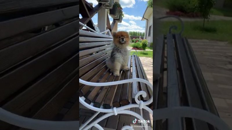 Переделка старой лавочки.
