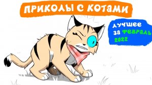 Приколы с котами. ЛУЧШЕЕ ЗА ФЕВРАЛЬ 2022 | Мемозг