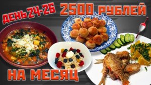 Выживаю месяц на 2500 рублей. День 24-26.