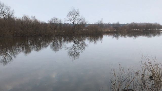 В.Сорочкин. Ты приходишь дождём...