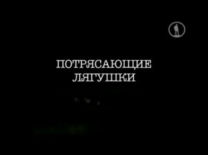 Потрясающие лягушки