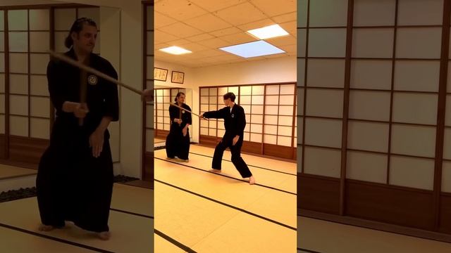 Tosei Ryu - Basic Tsuki counter