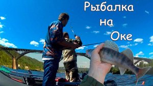 Джиг между мостов.Рыбалка на Оке в городе.