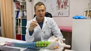 Вылечить артроз в позвоночнике и колене. ПРИЧИНА и 3 этапа дегенерации | метод Cordus