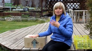 Несколько способов ХРАНЕНИЯ ЛУКА ПОРЕЯ на зиму! Советы от ЗЕЛЕНОГО ОГОРОДА!