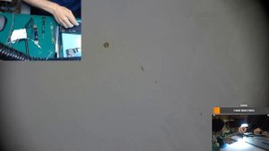 iPhone 13 Pro Max после удара не работают камеры ( продолжение )