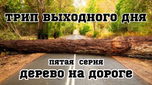 Дерево на дороге | Трип выходного дня | 5 серия | Спасли жизнь женщине