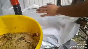 Утка счерносливом и яблаками на углях очень простой рецепт