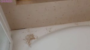 Примыкание ванны к стене. Решение вместо пластикова бордюра.