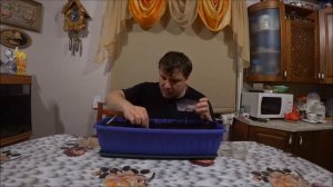 Посев семян желтой, мугус и гималайской сосен, черной ели.