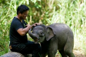 Послушаем мудрые звуки мини-слоника