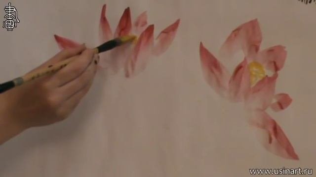 Уроки по рисованию лотоса 荷花 в китайской живописи и живописи у-син Урок 1 Цветок лотоса