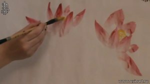 Уроки по рисованию лотоса 荷花 в китайской живописи и живописи у-син Урок 1 Цветок лотоса
