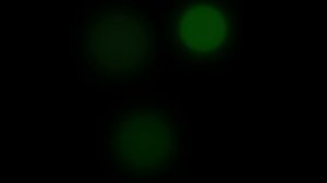 Композиция 2 1