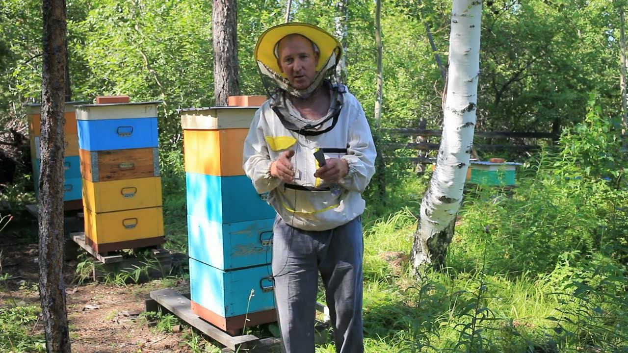 По не многу обо всём смотреть онлайн