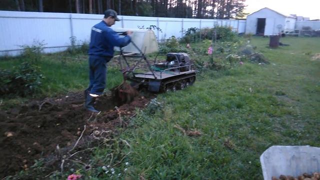 Ахтар на картошке смотреть онлайн