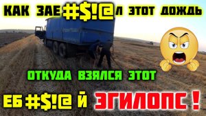 Уборка 2023. Дожди, Эгилопс. Засадили КамАЗ и Маз.