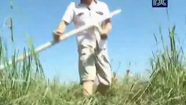 Олег Кувшинников предложил наделить сельских старост конкретными полномочиями смотреть онлайн