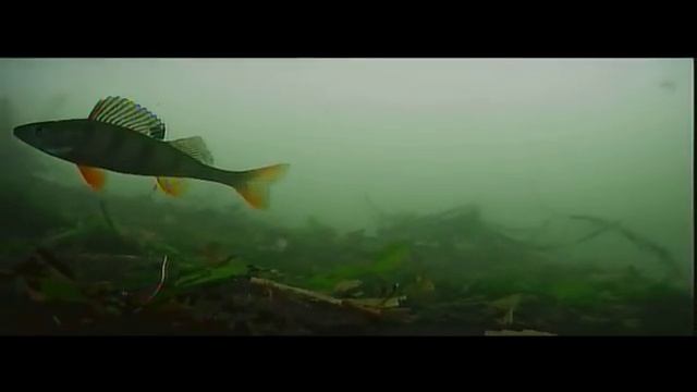 Первый лёд. Озеро Еловое Челябинская область. смотреть онлайн