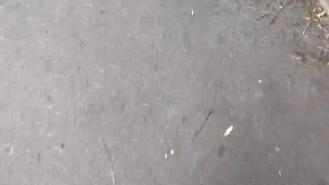 VLOG: УБРАЛСЯ С ВИПА! НЕ КЛИКБЕЙТ!!???? смотреть онлайн