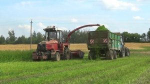 УЭС-280 "Полесье" подкашивает траву на корм скоту