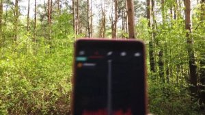 Как я создавал музыкальный трек Forest Adventures для будущего альбома