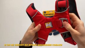 Обзор шлеи Ruffwear Front Range™ Harness | Шлейка для аусси