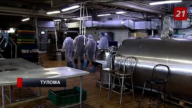 В «Туломе» коров перевели на зеленые корма