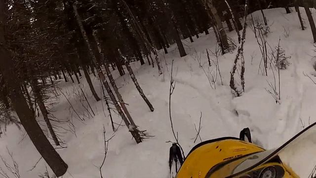 skandic  20 pouce  dans bois