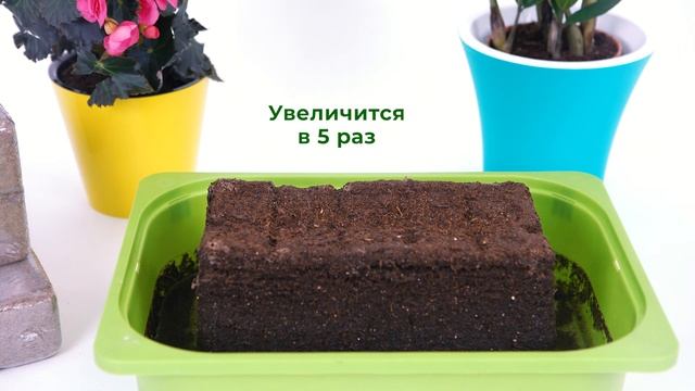 Почвобрикет - идеальная питательная почва.
