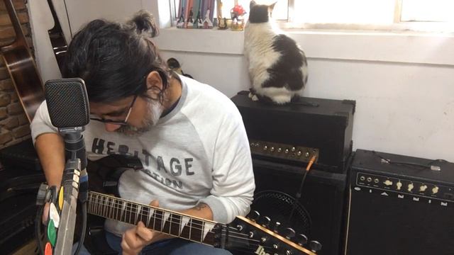 Guitarra Ibanez GIO Black смотреть онлайн