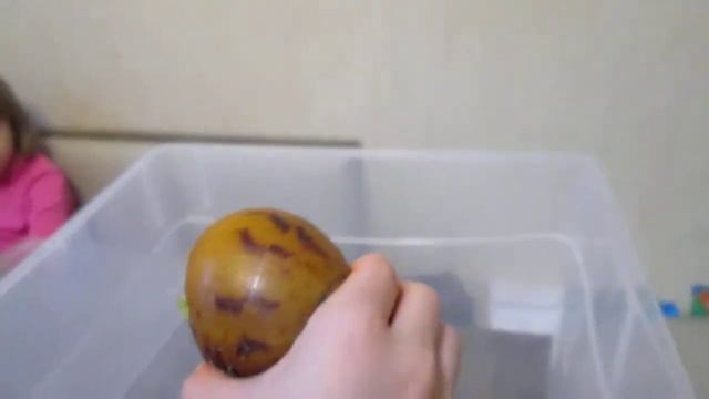 Новыя улитка ура! Ахатина ахатина тигр. смотреть онлайн