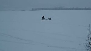 мотособака 13 лс