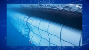 Великая тихоокеанская свалка: самая большая свалка в мире в Тихом океане