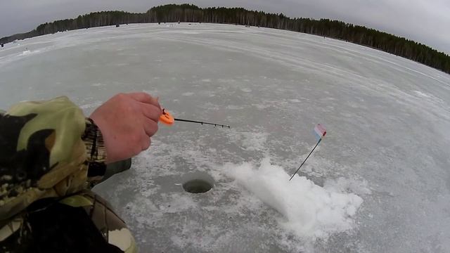 И снова Белоярка, верховье. Рыбалка на белоярском водохранилище 2020. смотреть онлайн