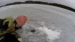 И снова Белоярка, верховье. Рыбалка на белоярском водохранилище 2020.